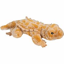 BOOGIE BEARDED DRAGON