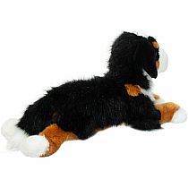 TROOPER BERNESE MOUNTAIN DOG
