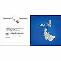 STELLALUNA BK   --JANELL CANNON