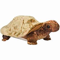 Speedy Tortoise 