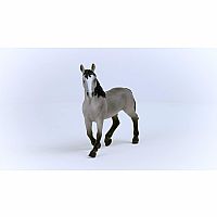 SCHLEICH CHEVAL DE SELLA STALL
