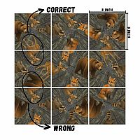 SQUZZLE PUZZLE WILDLIFE