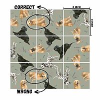 SQUZZLE PUZZLE DOGS