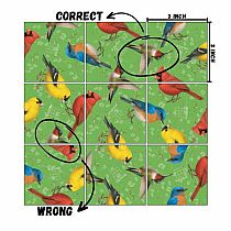 SQUZZLE PUZZLE BIRDS