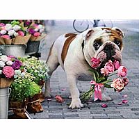 BULLDOG AND ROSES CARD