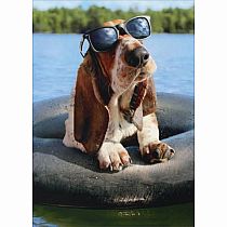 BASSET HOUND W SUNGLASSES CARD
