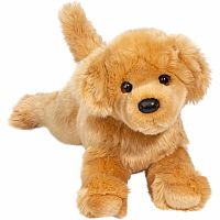 Bella Golden Retriever