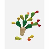 PLAN BALANCING CACTUS