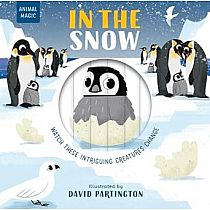 MAGIC WINDOW IN THE SNOW --Harriet Stone David Partington