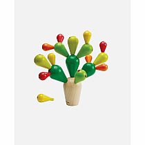 PLAN BALANCING CACTUS
