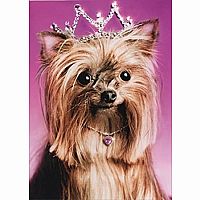 BD YORKIE PRINCESS CARD