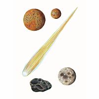 DOVER SOLAR SYSTEM STICKER BK