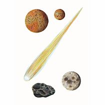 DOVER SOLAR SYSTEM STICKER BK