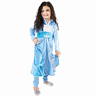 ICE PRINCESS DLELUXE DRESS MED