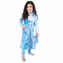 ICE PRINCESS DLELUXE DRESS MED