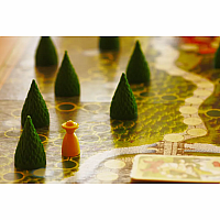 Enchanted Forest