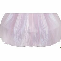 GOLDEN ROSE PRINCESS DRESS 7/8