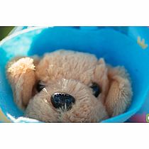 VETERINARIAN SET 5/6