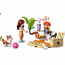 LEGO SURFING DOGS AND SCOOTER