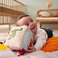 SOFT ACTIVITY CUBE DINO