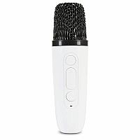 ROCK STAR GUITAR/MIC KARAOKE