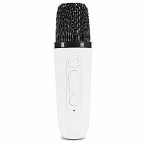 ROCK STAR GUITAR/MIC KARAOKE