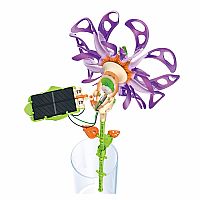 SOLARFLOWER PURPLE MAJESTIC