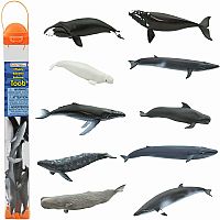 WHALES TOOB