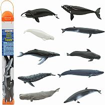 WHALES TOOB