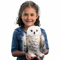 Legend Snowy Owl