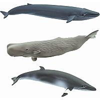 WHALES TOOB