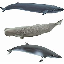 WHALES TOOB