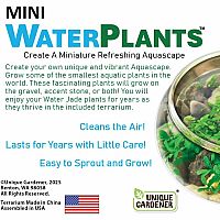 CREATE MINI WATERPLANTS