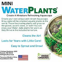 CREATE MINI WATERPLANTS