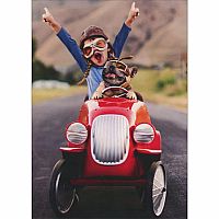 KID AND DOG IN GO CART CARD