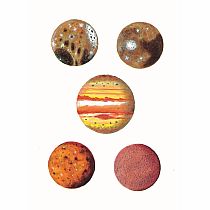 DOVER SOLAR SYSTEM STICKER BK