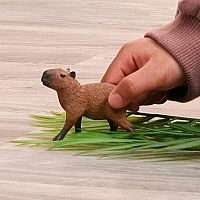 SCHLEICH CAPYBARA