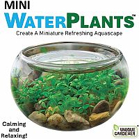 CREATE MINI WATERPLANTS