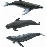 WHALES TOOB
