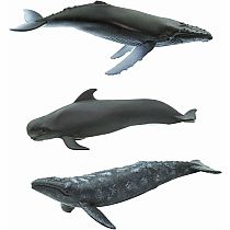 WHALES TOOB