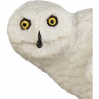 SAFARI SNOWY OWL