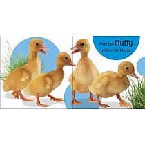 Touch and Feel Baby Animals