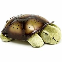 TWILIGHT TURTLE