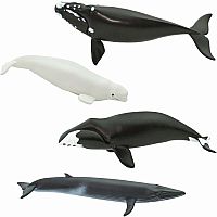 WHALES TOOB