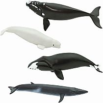 WHALES TOOB