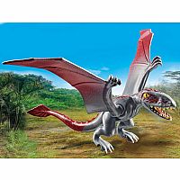 PM DIMORPHODON OBSERVATORY