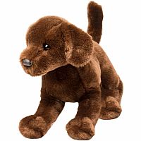 Cocoa Chocolate Lab