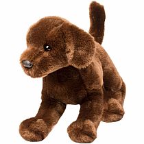 Cocoa Chocolate Lab