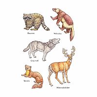 DOVER WOODLAND ANIMALS STICKERS