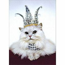 PRINCESS KITTEN CARD